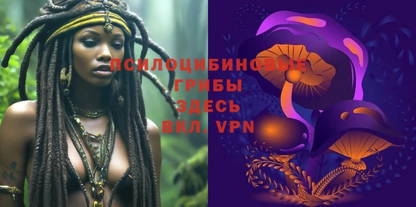 круглые Корсаков