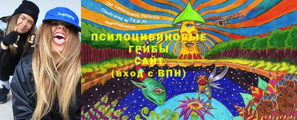 круглые Корсаков