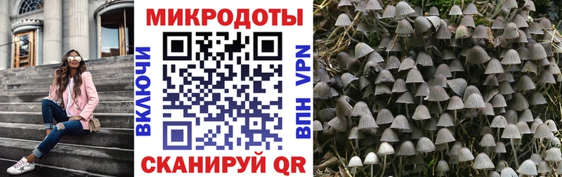 Купить где  Балей  Галлюциногенные грибы MAGIC MUSHROOMS 